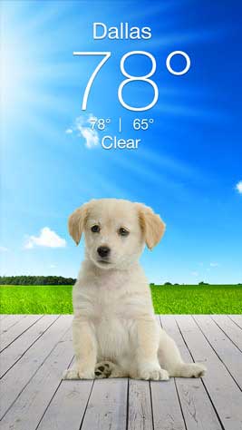 Weather Puppy Screenshot 1