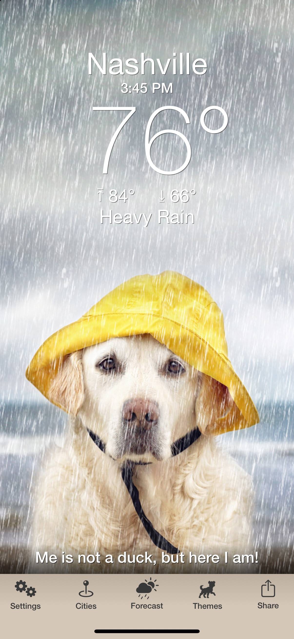 Weather Puppy: The Daily Woof