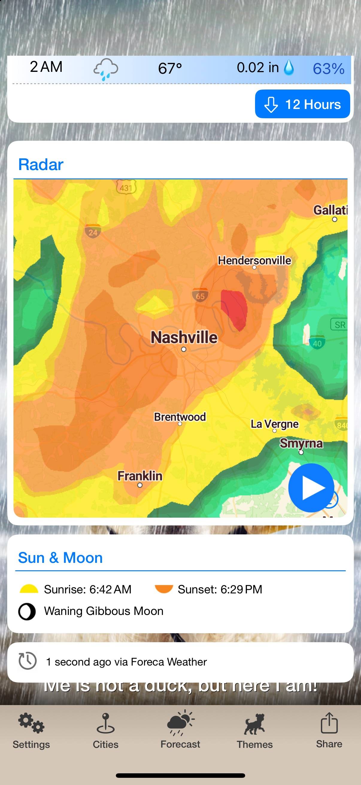 Weather Puppy: Live radar
