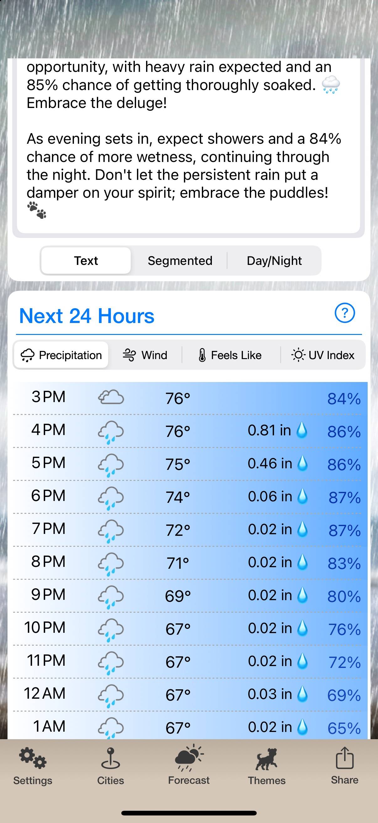 Weather Puppy: Hour by hour