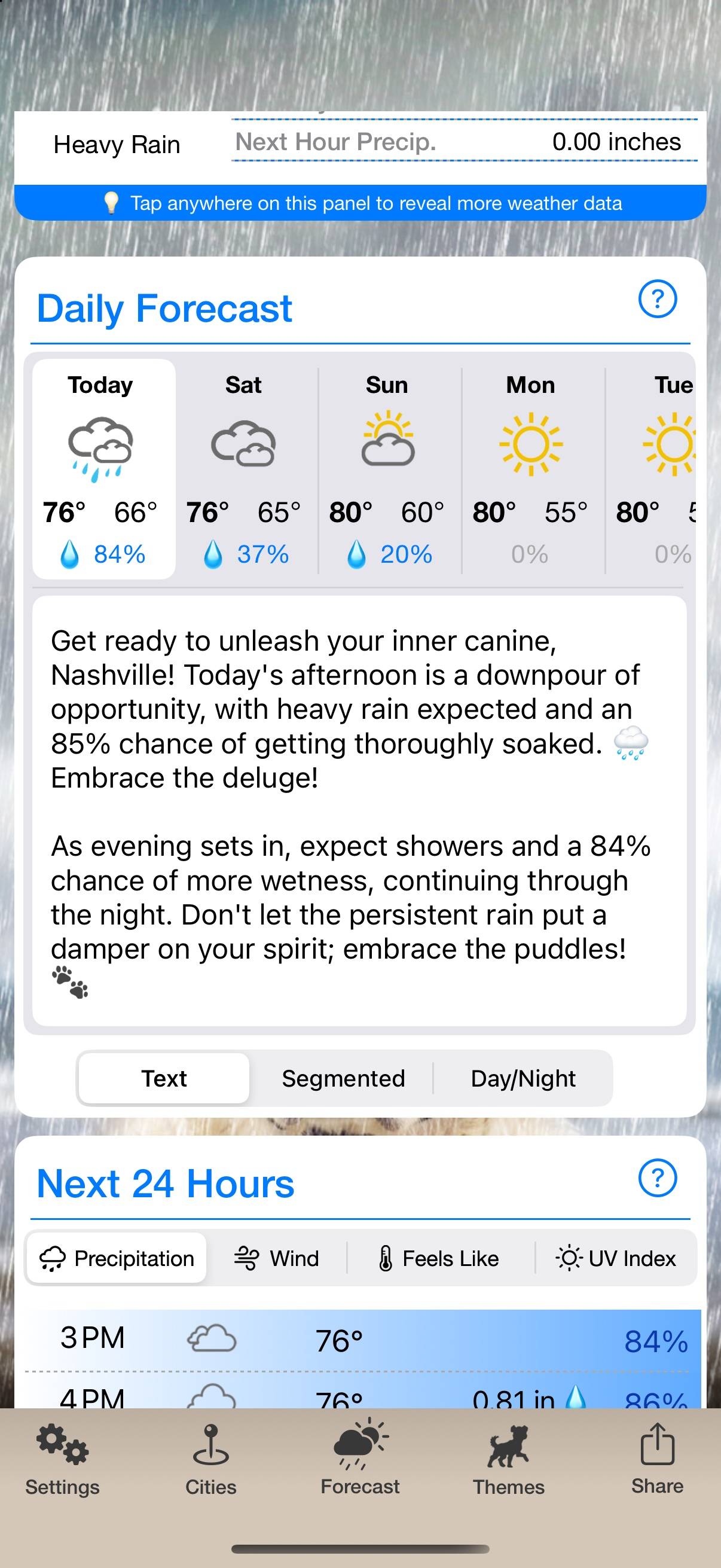 Weather Puppy: A forecast with a wagging tail